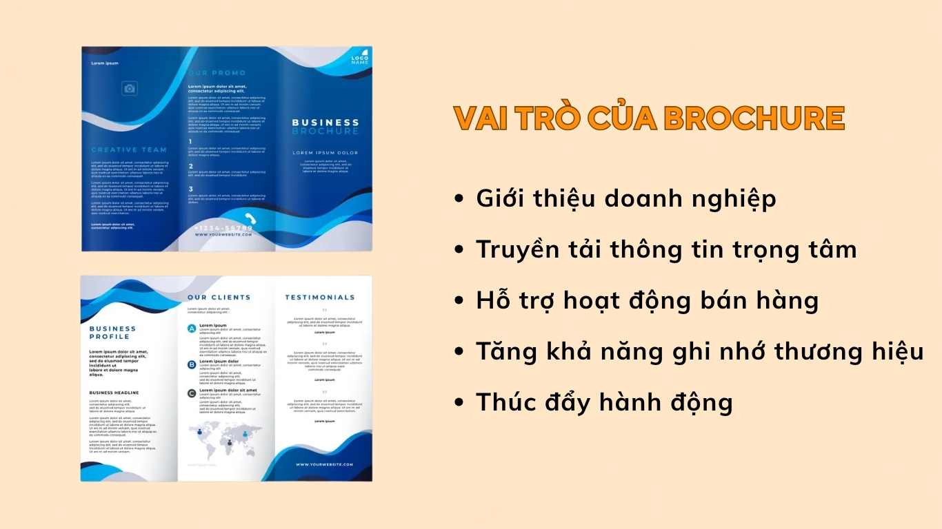 Vai trò của brochure trong truyền thông và kinh doanh
