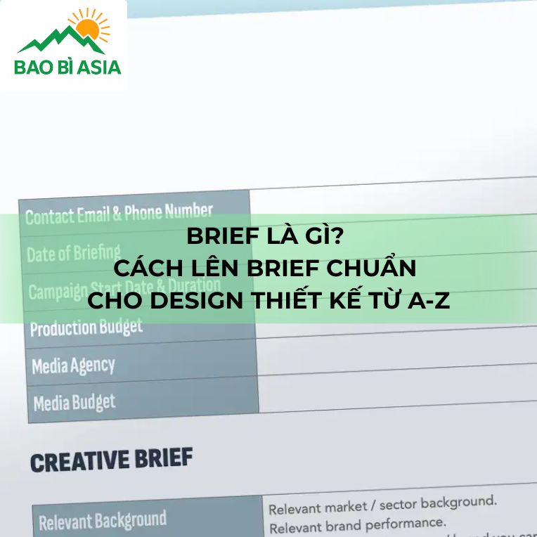 brief