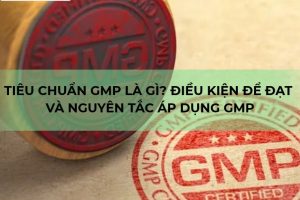 Đánh giá GMP