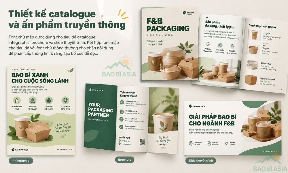 Thiết kế catalogue và ấn phẩm truyền thông