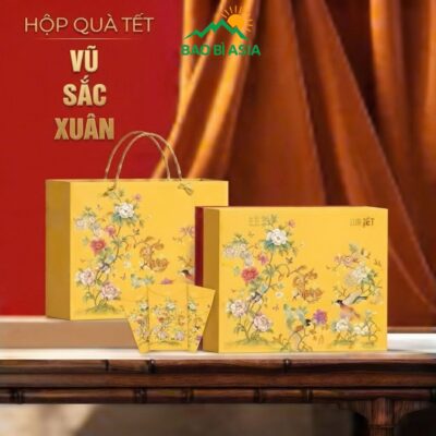 Hộp quà Tết Vũ Sắc Xuân