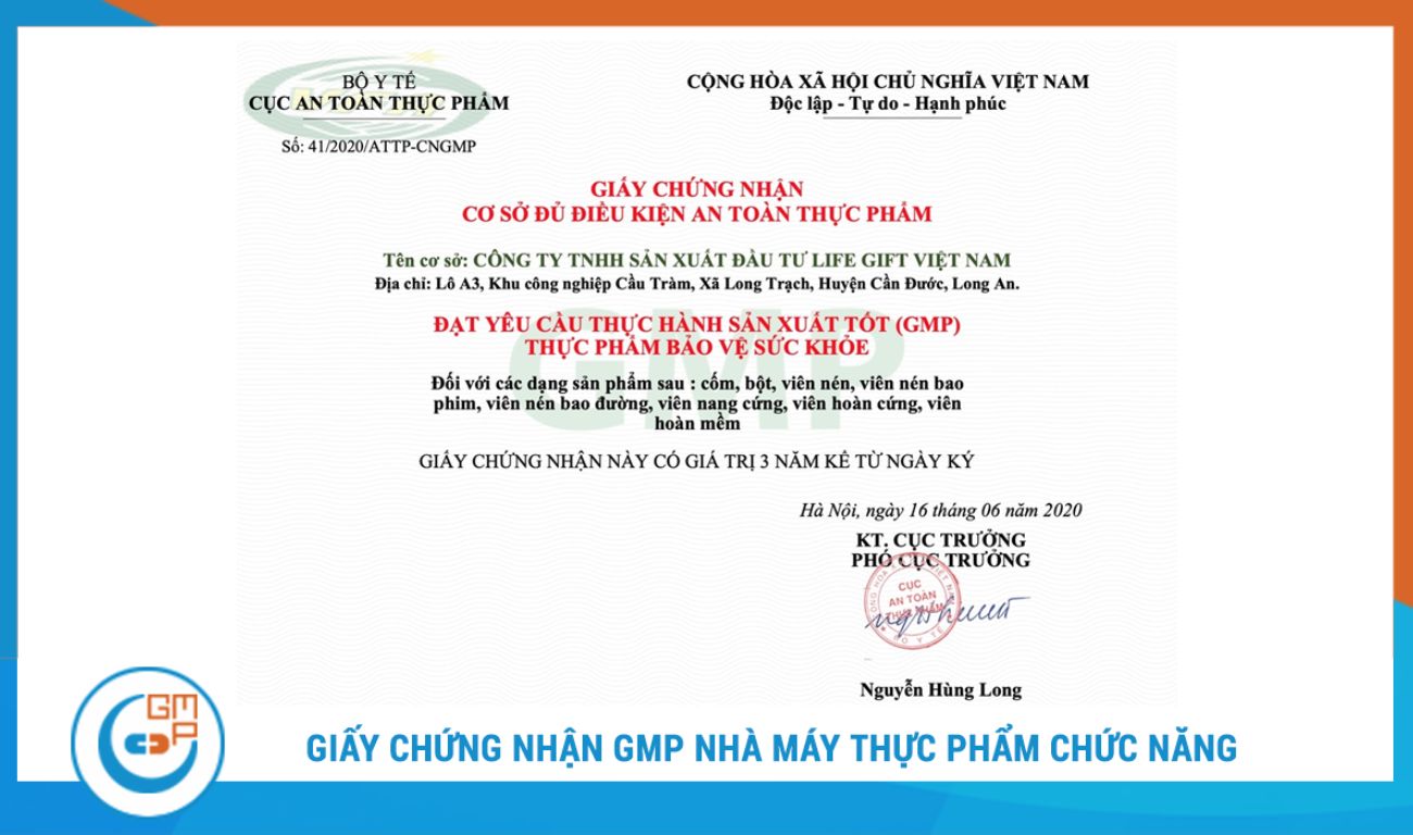 Mẫu GMP 4